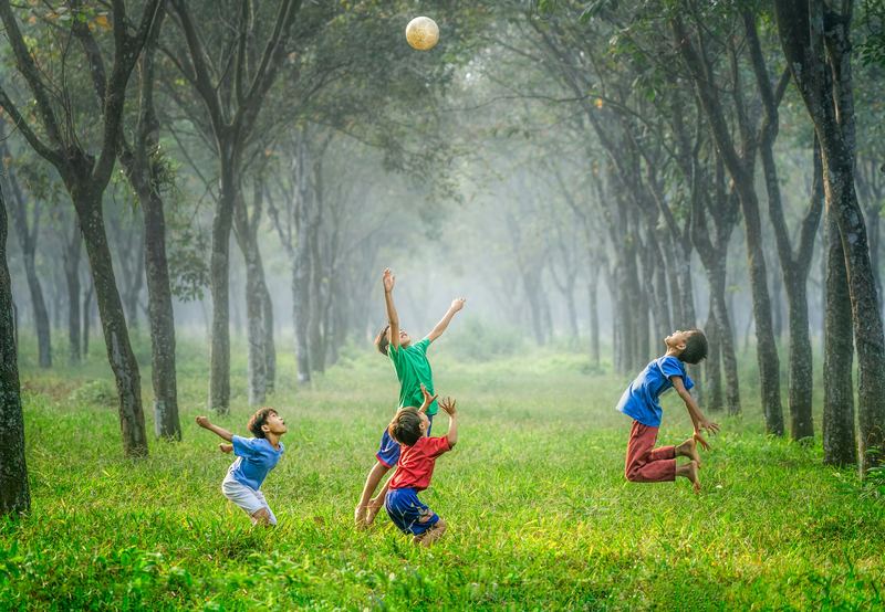 Crianças brincando com uma bola entre as árvores